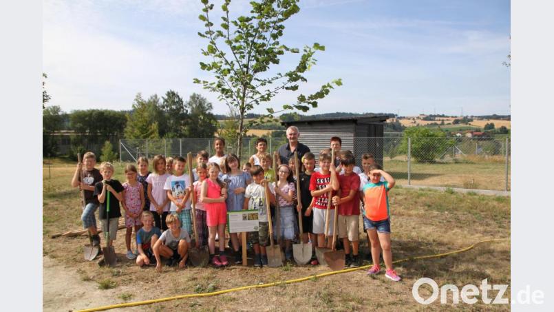 Die Schüler der Klassen 4a und 4b mit ihren Klassenleiterinnen Ulrike Weiß (4a) und Rektorin Sigrid Reger-Scharf (4b) mit Bürgermeister Uli Roth, gruppiert um die neu gepflanzte Flatterulme. Bild: den
