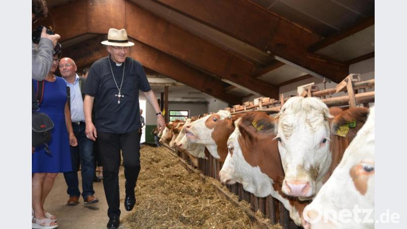Der Regensburger Bischof Rudolf Voderholzer in einem Kuhstall im Kreis Schwandorf. Bild: jut