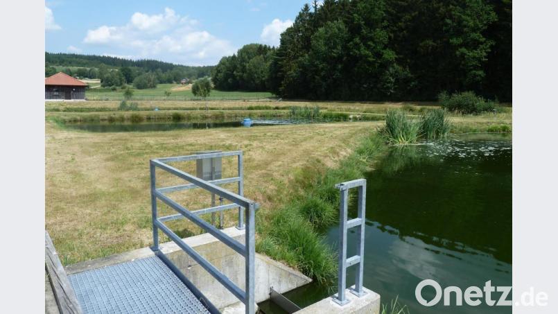 Für die Bürger im Bereich der Abwasserbeseitigungsanlage Pullenried-Wildeppenried erhöht sich die Einleitungsgebühr um 15 Cent je Kubikmeter. Das Bild zeigt die Kläranlage im Ortsteil Pullenried. Bild: Portner