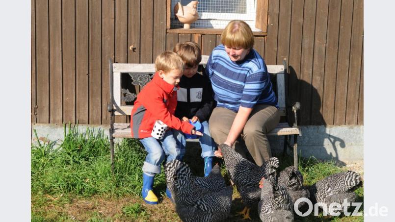 Ferienspaß mit Enkeln: In den Sommerferien betreuen oft die Großeltern die Kinder. Die OWZ hat Tipps fürs Ferienprogramm. Zum Beispiel einen Ausflug zum Erlebnisbauernhof. Bild: Fotofreundin – stock.adobe.com
