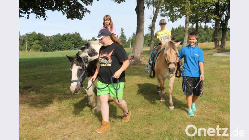 Eine Runde auf den Ponys darf bei den meisten Kindern nicht fehlen. Bild: pi
