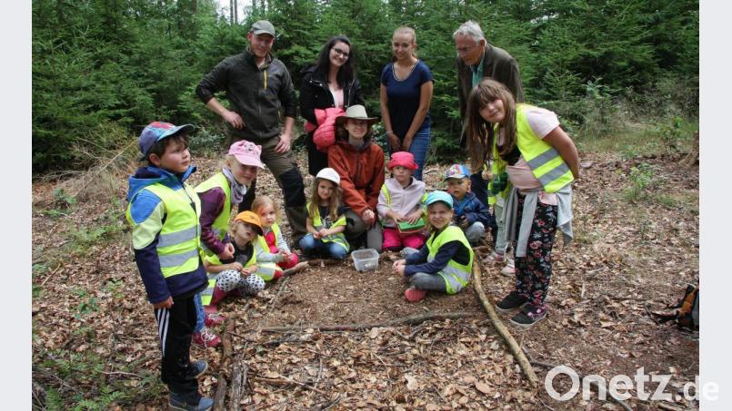 Der Waldboden verbirgt viel Interessantes, stellten die Kinder und Erzieherinnen von St. Marien fest. Gemeinsam mit Amelie Nöth (Bildmitte, knieend), Jonas Ständer (stehend, links) und Naturpark-Geschäftsführer Ernst Tippmann (Zweiter von rechts) wurde der Boden genau unter die Lupe genommen. Bild: wro