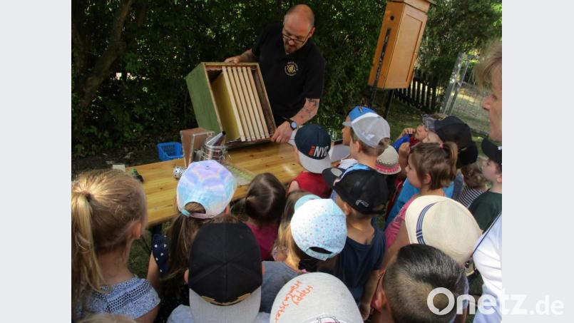Interessiert schauten die Kinder Stefan Weberpals zu, als er den Aufbau eines Bienenkastens erklärte. Bild: si