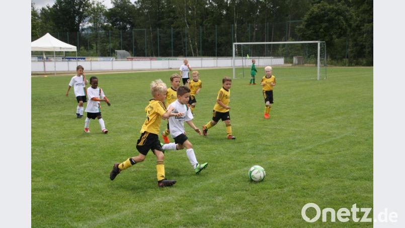 Jugendturnier beim FC Tirschenreuth. Bild: exb