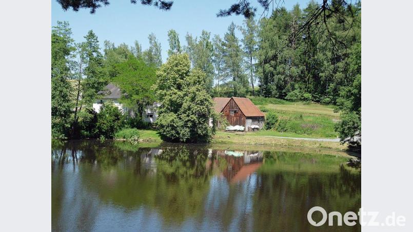 Rund um den idyllischen Haferdeckweiher veranstaltet der Fischereiverein am Wochenende sein drittes Fischerfest. Einen Schwerpunkt setzen die Mitglieder dabei mit besonderen Fischspezialitäten. Bild: bsc