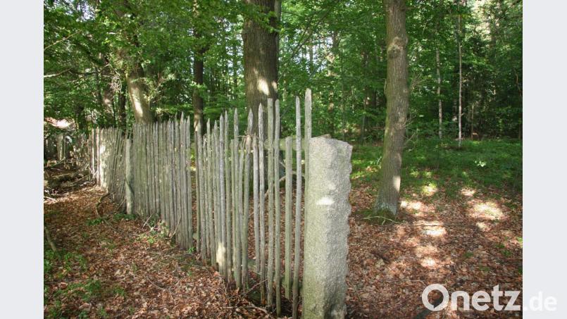 Früher war der Schlosspark deutlich größer. Dazu gehörte auch das bewaldete Gelände in Richtung Güttern, das – und nicht der bekannte angrenzende Schlossgarten – wurde jetzt veräußert. Bild: wro