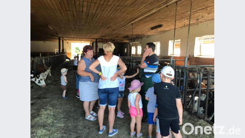 Johannes Besold beantwortete gern die Fragen der Kinder. Stellvertretende Kreisbäuerin Martina Sticht hatte den Tag mitorganisiert. Bild: ld