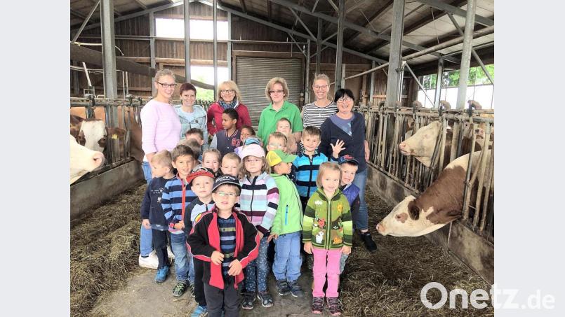 Es hat ihnen viel Spaß gemacht! Zu Gast auf dem Bauernhof von Kathrin und Hans Spies waren in den vergangenen Tagen die Kindergartenkinder von St. Konrad aus Mendorferbuch gewesen. Bild: bö