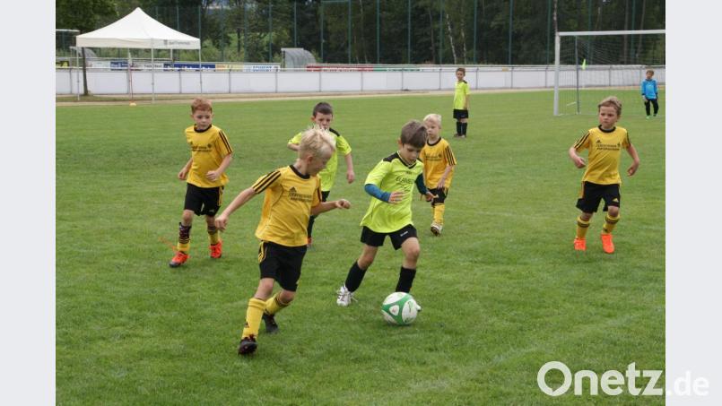 Jugendturnier beim FC Tirschenreuth. Bild: exb