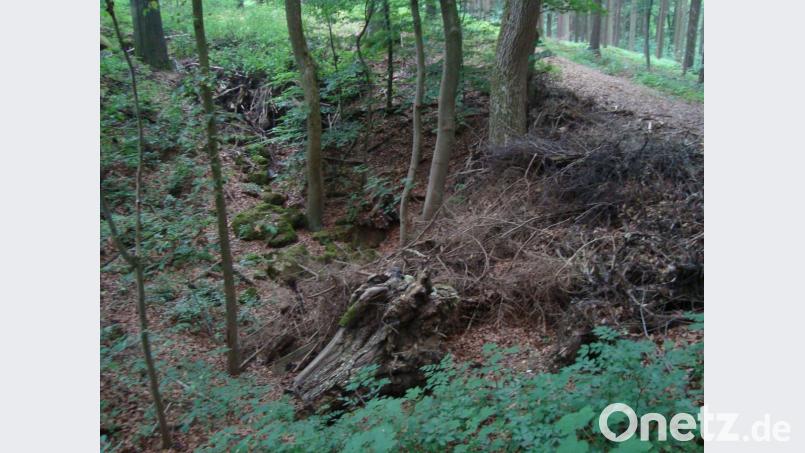 Das „Teufelsloch“ zwischen Erlheim und Hohenkemnath wird immer wieder von Unbekannten mit Grünabfällen oder Steinen verfüllt. Bild: schß