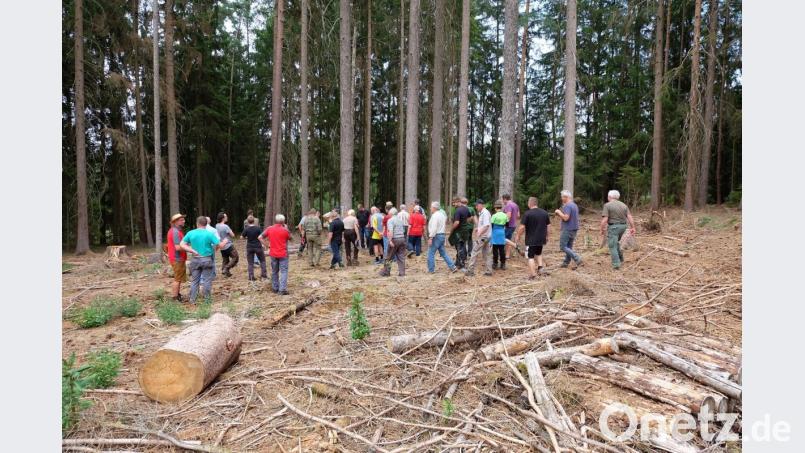 Das Interesse an der Informationsveranstaltung war riesengroß. Mit so vielen Waldbauern hätte Michael Bock (links) nicht gerechnet. Bild: wlr