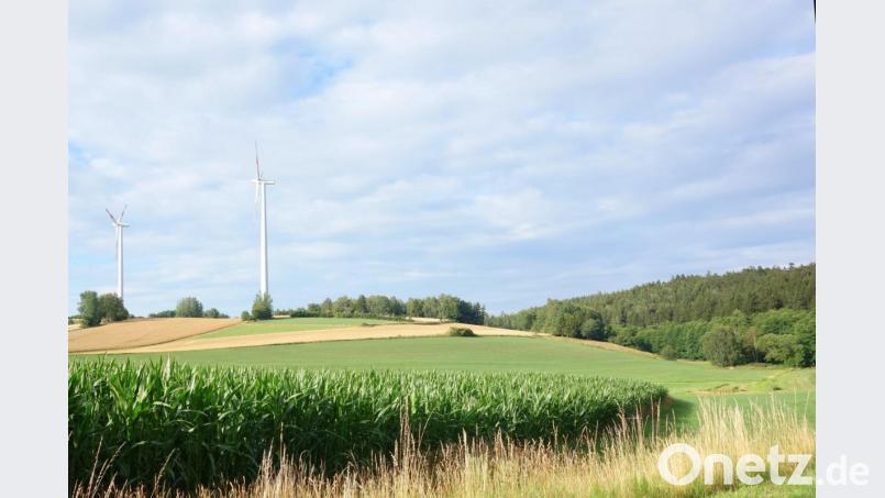 Der Waidhauserr Marktrat ebnete einem Investor aus Grassau am Chiemsee den Weg, seine Sonnenstromanlage im oberpfälzer Grenzland verwirklichen zu können. Bild: fjo