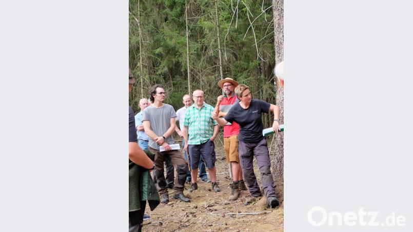 Försterin Andrea Sauer gibt den Waldbauern wertvolle Ratschläge über die Vorgehensweise beim Borkenkäfer. Auch Michael Bock (zweiter von rechts) und Noah Argauer (zweiter von links) von der FBG klären auf. Bild: wlr