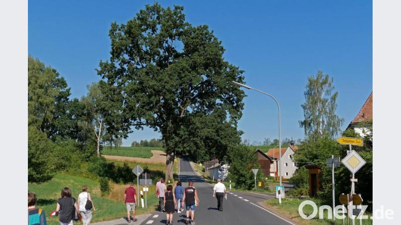 Die Kommission in Maiersreuth, allen voran Bürgermeister Klaus Meyer, der den Ort in einer flammende Rede präsentierte. Um die große Eiche am Straßenrand in Maiersreuth verläuft künftig ein Halbkreisverkehr, so dass der Baum als Straßenteiler fungiert. Damit soll erreicht werden, dass der Autoverkehr im Dorf gebremst wird. Bild: tr