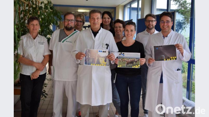 Die Jury mit den drei erstplatzierten Fotos. Bild: exb/Bernhard Krebs