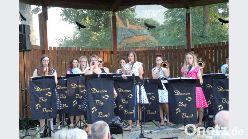 Geballte Frauenpower an den Instrumenten unterhält das Neustädter Serenadenpublikum musikalisch prächtig. Bereits zum dritten Mal servierte die &quot;Damen-Big-Band Waidhaus&quot; beschwingte Tanz- und Unterhaltungsmusik. Bild: prh