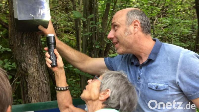 Georg Knipfer hatte eine Fledermaus in einem Kasten dabei - normalerweise bekommt man die Nachtschwärmer eher nicht zu Gesicht. Bild: Unger, Heike