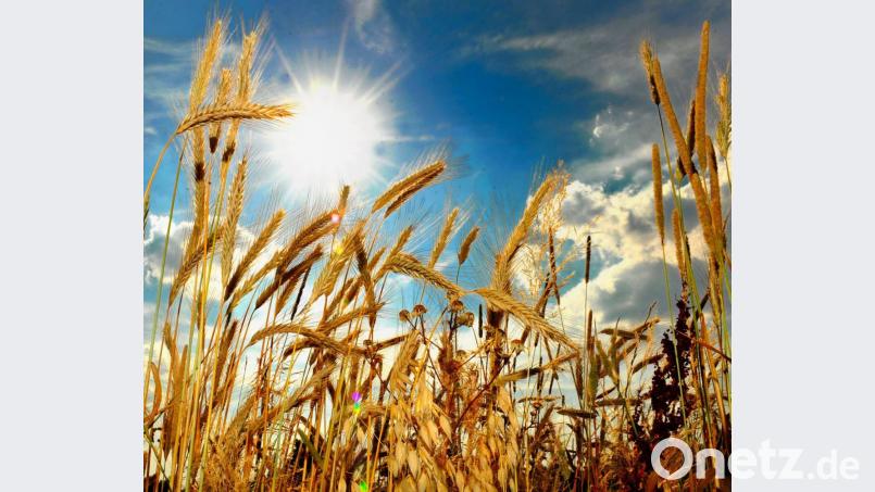 Nicht nur am Donnerstag, auch am Freitag sollen die Temperaturen wieder weit über die 30-Grad-Marke steigen. Bild: Karin Wilck