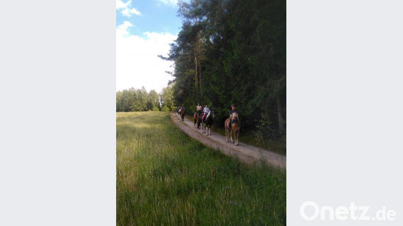 Durch Wald und Flur führten die Ausritte der Reitschüler. Bild: twg