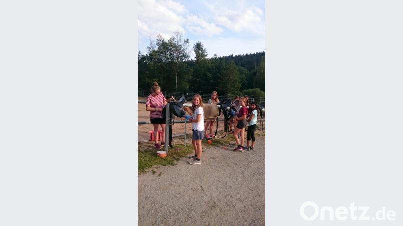 Auch das Putzen der Sättel und des Zaumzeugs gehört zu den Aufgaben der Reitschüler. Bild: twg