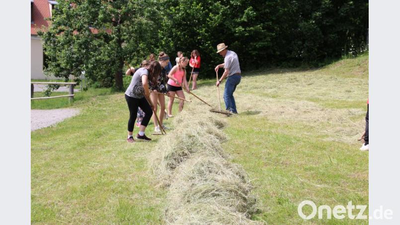 Landwirtschaft wie vor 100 Jahren: Auch dieses Thema ist im Kinderferienprogramm des Museums berücksichtigt. Bild: exb