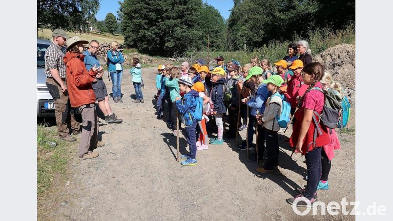 Einen interessanten Wandertag veranstaltete die Grundschule Friedenfels. Am Grenzbach informierten die beiden Ranger des Naturparks Steinwald, Jonas Ständer und Amelie Nöth, sowie Robert Mertl vom Verein Kulturlandschaft Südlicher Steinwald (von links) über das Leben in den Bächen. Die Lehrer Claudia Wölke, Evi Kern und Anita Grünbauer (hinten, von rechts) und die Kinder dankten am Ende für einen außergewöhnlichen Schultag. Bild: bsc