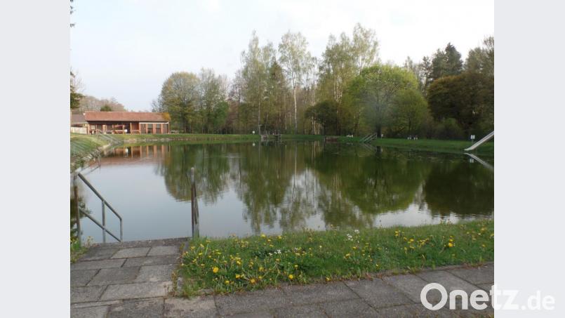 Das Naturbad Selingau bereit den Gemeinderäten hinsichtlich der Algenproblematik weiterhin Kopfzerbrechen. Der Einsatz von Wasserbelüftern, wie vom Arbeitskreis „Freibad Selingau“ angeregt, ist vorerst vom Tisch. Bild: br