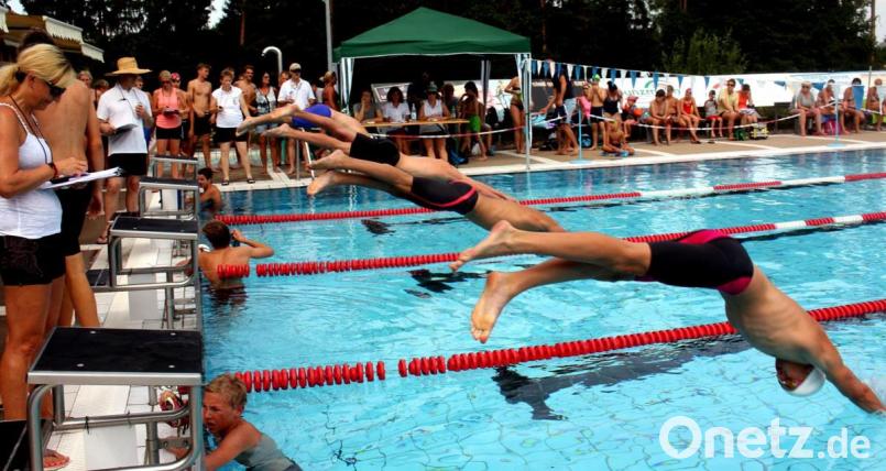 Und los! Beste Bedingungen herrschen bei den Stadtmeisterschaften im Schwimmen. Bild: R. Kreuzer