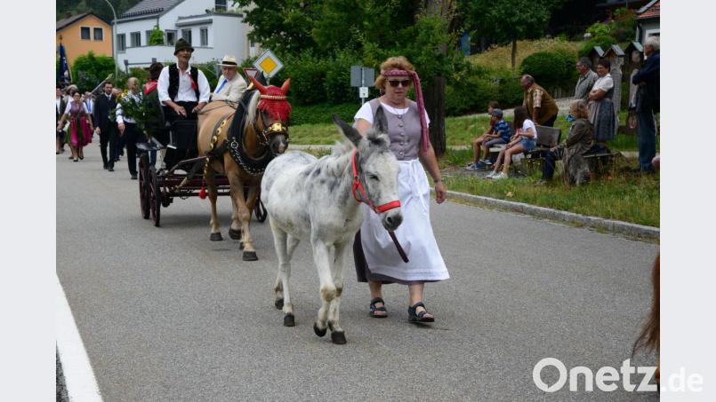 Ob Pferd oder auch Esel - der Segen Gottes nach der Kirche gilt allen Tieren und deren Besitzern. Bild: bey