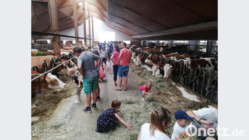 Auf dem Hof der Familie Zintl in Kleinbüchlberg durften die Kinder Tiere streicheln. Bild: exb
