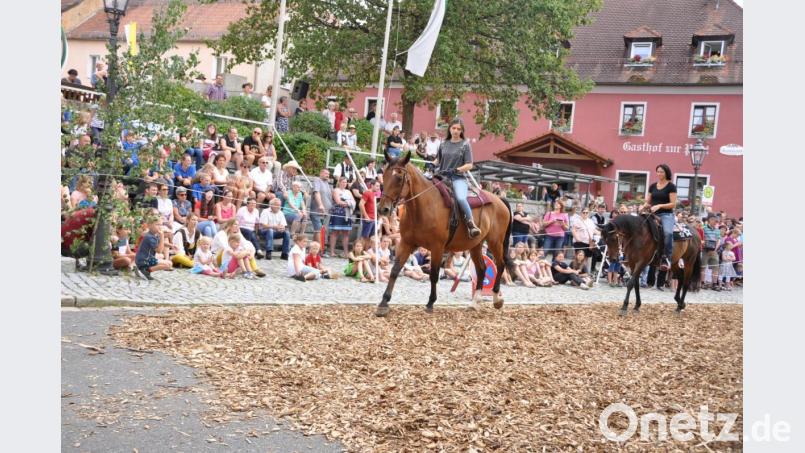 Bei ihren Runden präsentierten sich Reiter und Pferde verschiedenster Rassen dem Publikum. Fernsehreif war die perfekte Kommentierung von Sabine Gruber bei den Vorstellungen. Bild: es