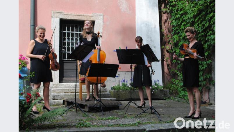 Humorvolle Präsentation des Themas Mozart Bild: gag