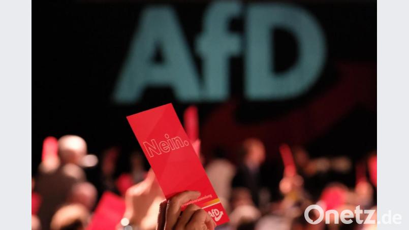 Delegierte halten Karten mit der Aufschrift "Nein" hoch. Bild: Sebastian Willnow