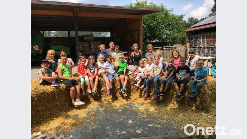 Die Klasse 1/2 c der Albert-Schweitzer-Grundschule Weiden auf dem Bauernhof der Familie Pausch in Frauenricht. Bild: Michaela Graf