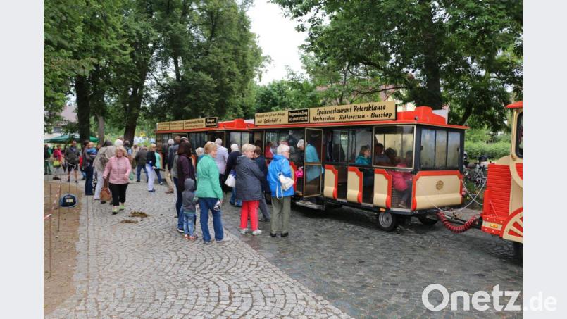 Viele Besucher nutzen für die Fahrt vom Festplatz zum 800 Meter entfernten Mohnfeld den „Mohnblütenexpress“. Bild: bsc
