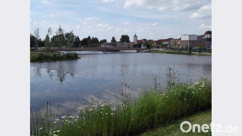 Mit dem Fischhofpark wurde die historische Situation des Stadtteiches wiederhergestellt, eingebettet in eine blühende Parklandschaft. Im Hintergrund die schwebende „Max-Gleißner“-Spannbandbrücke. Archivbild: cr