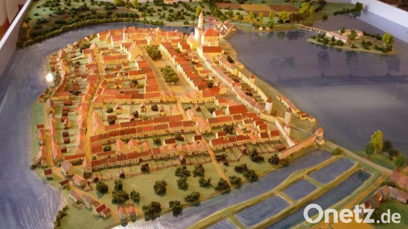 Das Modell im Museumsquartier Tirschenreuth zeigt die Insellage von Ort und Fischhof. Bild: cr