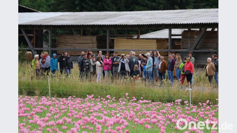 Umfangreiche Erläuterungen durch Fachleute erhielten die Besucher beim Durchstreifen der Felder. Bild: bsc