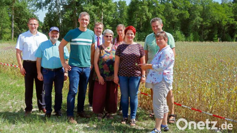 Tief beeindruckt von den Bemühungen der Steinwald-Allianz waren zum Start ihrer Tourismus-Tour durch Ostbayern der tourismuspolitische Sprecher der Grünen im Bayerischen Landtag, Christian Zwanziger (Dritter von links) und seine Fraktionskollegin Anna Toman (Dritte von rechts). Lisa Rauh (rechts) und Thomas Schultes (Sechster von rechts) präsentierten den Gästen die Mohnfelder der Friedenfelser Betriebe. Außerdem begleiteten die Feldbegehung (von links) Martin Schmid, Heinz Erhard, Heidrun Schelzke-Deubzer, Simone Blumhof und Karl Zeh. Bild: bsc
