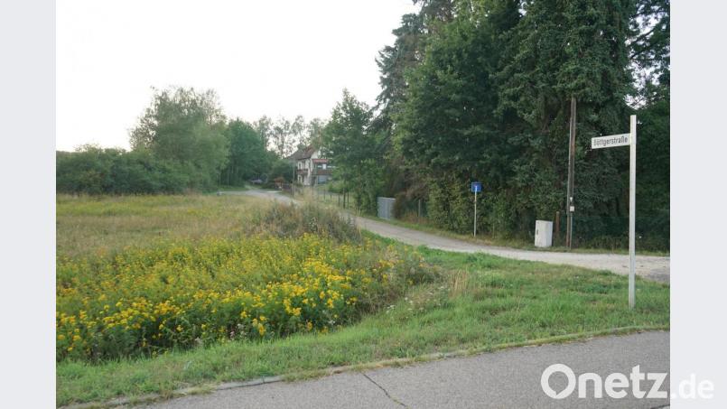Im Bereich links soll der neue Musikladen mit Bistro an der Böttgerstraße entstehen. Die Flurstücke links und rechts des Weges sollen erschlossen werden. Ein Bebauungsplan für ein Grundstück rechts des Weges wurde kurz vor der Sitzung zurück gezogen. Bild: nib