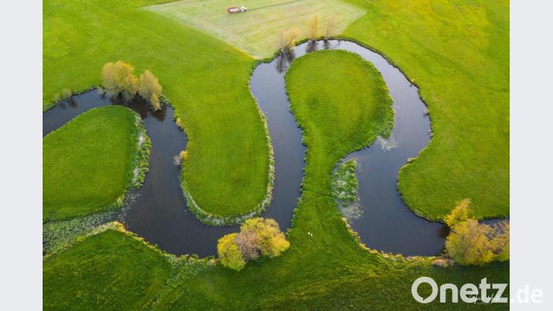 In zahlreichen Mäandern verläuft der noch ursprüngliche Fluss Schwarzach. Die ganze Pracht lässt sich erst aus der Vogelperspektive erfassen. Die Aufnahmen von Josef Merkl möchten dem Betrachter die unterschiedlichen Facetten dieser Flusslandschaft zeigen und lenken den Blick auf die Schönheiten, die sich dem Betrachter oftmals erst beim näheren Hinsehen direkt am Wegesrand offenbaren. Bild: Josef Merkl