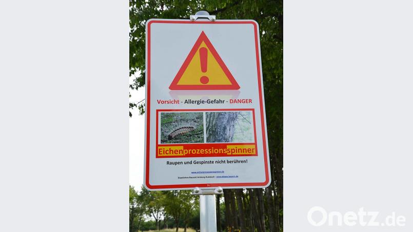 Schilder weisen am Parkplatz an der B 470 bei Altzirkendorf auf die Gefahr durch den Eichenprozessionsspinner hin. Bild: ü