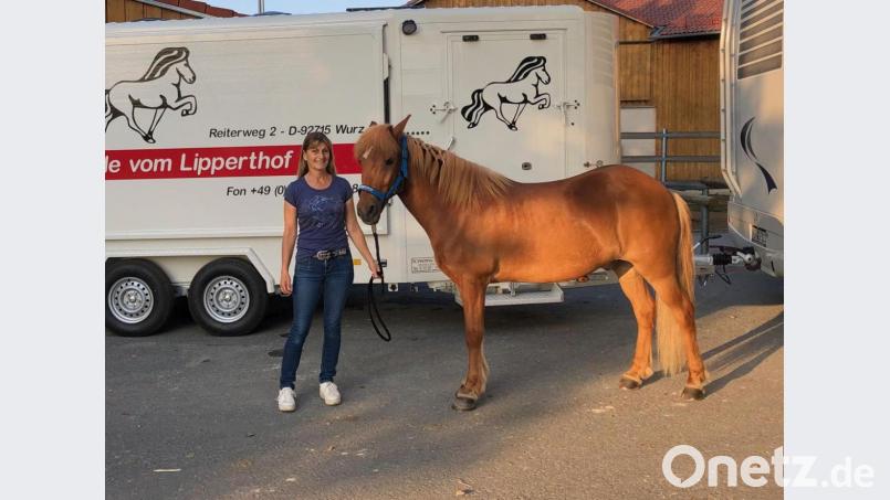 Irene Reber hofft, sich mit ihrem Pferd Þokki frá Efst-Grund für die WM in Berlin noch qulifizieren zu können. Bild: exb