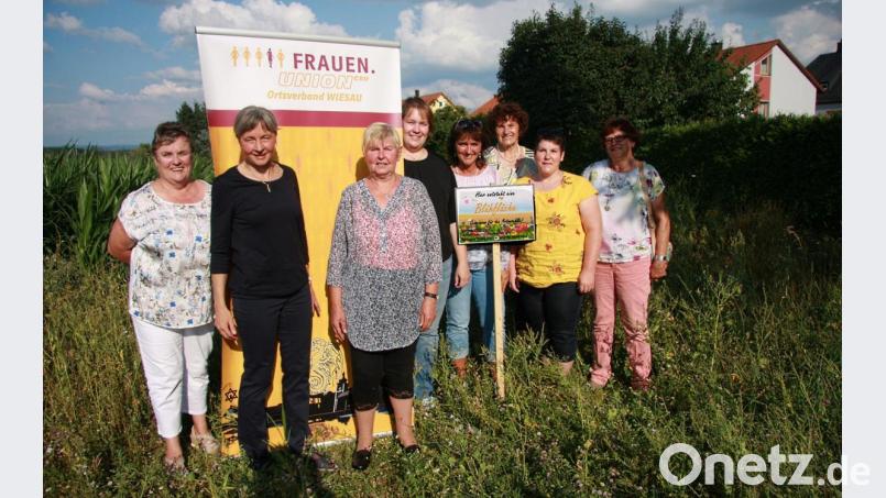 Vor wenigen Tagen nahm die FU um Vorsitzende Maria Bauer (Vierte von links) offiziell Besitz von ihrem Blühpatenfeld an der Alfons-Goppel-Straße. Bild: wro