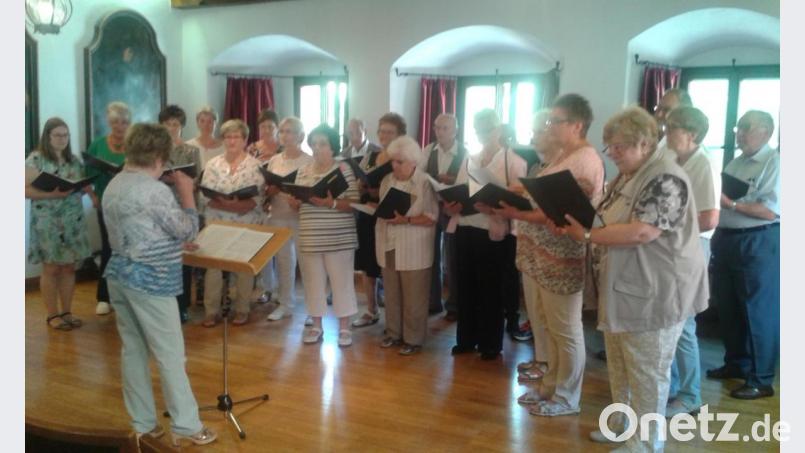Bei „Weiden singt“ beteiligte sich auch die Chorgemeinschaft Wiesau-Erbendorf unter der Leitung von Elisabeth Liedl. Bild: Chöre Wiesau/exb