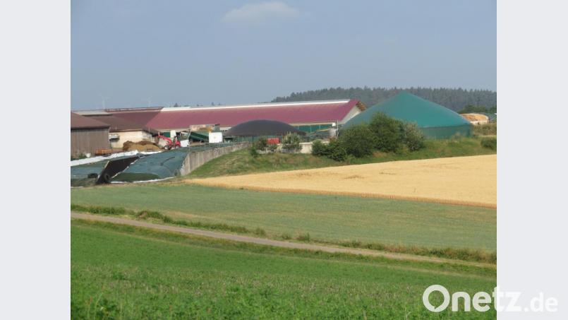 Mit einer Umwallung aus Erdreich will die Firma Bioenergie Hans und Wolfgang Schäffler GbR ihre Biogasanlage am Tremauer Weg nachrüsten. Dadurch soll bei einem Unfall ausgelaufene Gülle oder Gär-Substrate zurückgehalten werden. Bild: ow