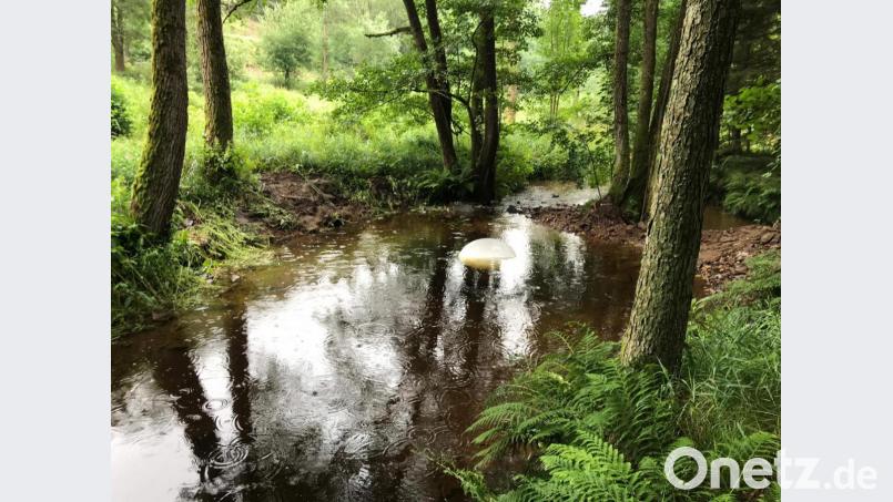 "Der Mond im Brunnen" stammt vom Pfreimder Künstler Engelbert Süß. Bild: pi