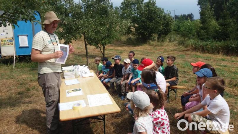 Alexander Riedel vermittelt den Kids einen interessanten Einblick in das Leben der Insekten Bild: stn