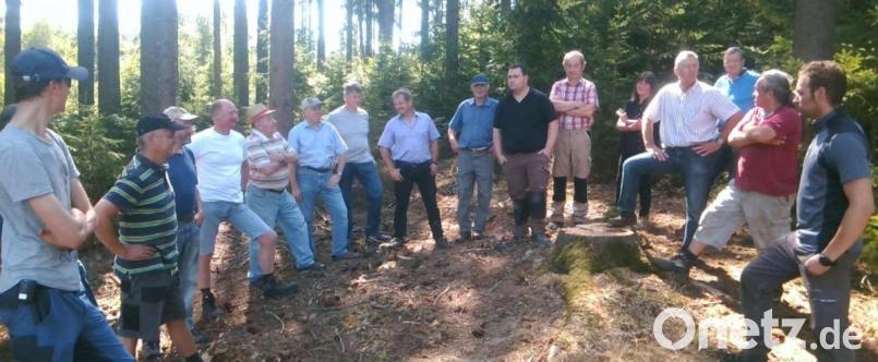 Viele Privatwaldbesitzer holten sich von den Experten Tipps zur Borkenkäferbekämpfung. Bild: le