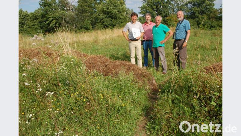 Sie wachen über das Projekt „Donauinsel Mariaort“: (von links) die Naturschützer Raimund Schoberer, Albrecht Muscholl-Silberhorn, Rainer Brunner und Franz Wartner. Bild: Hanna Gibbs
